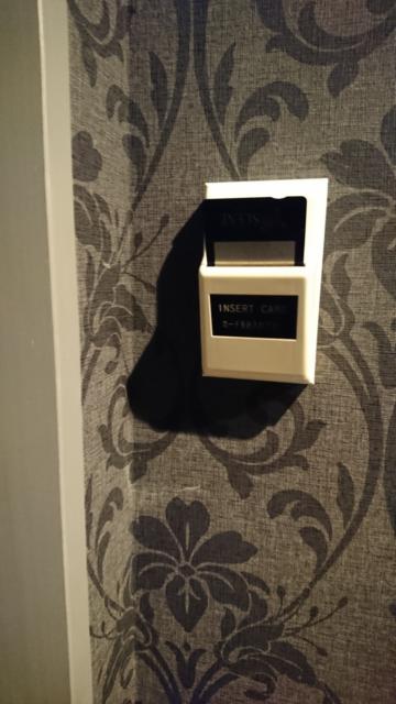 HOTEL THE SCENE(ザ・シーン)(横浜市港北区/ラブホテル)の写真『502号室 カードを差し込んだ状態。カードを差したままにしておかないと部屋のスイッチが一切機能しない』by なめろう