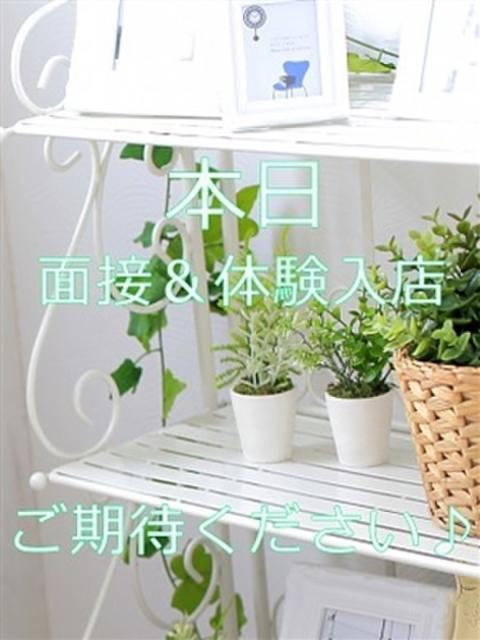 あむ 大人の遊園地 川越店(デリヘル)