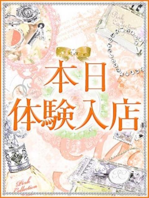 CHARA【未経験・チャラ】 京都美女図鑑 〜素人専門店LUXE〜（デリヘル）