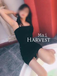 舞(まい) Harvest（天王町(水戸市)/デリヘル）