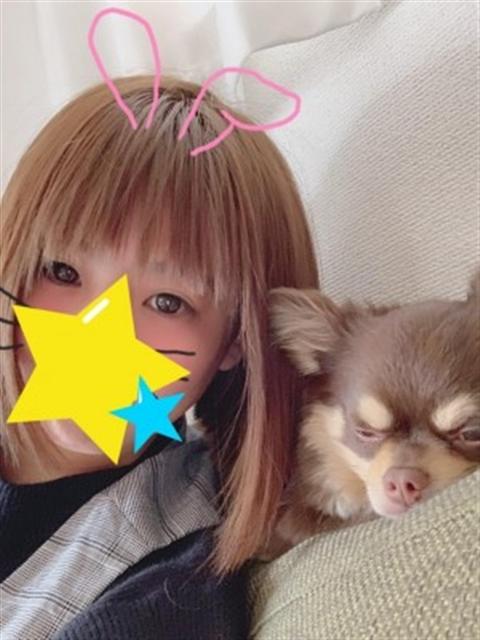 光組あんず 逢いトーク（デリヘル）