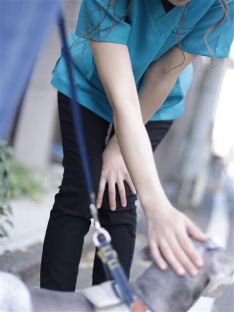 動物病院勤務・看護助手 N子 OL　A子。（ソープランド）