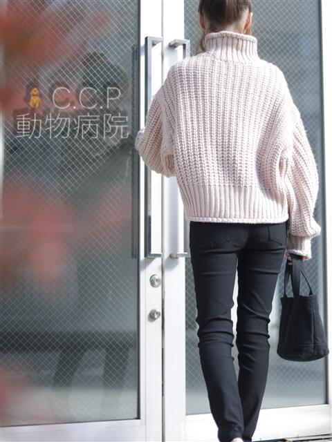 動物病院勤務・看護助手 N子 OL　A子。（ソープランド）