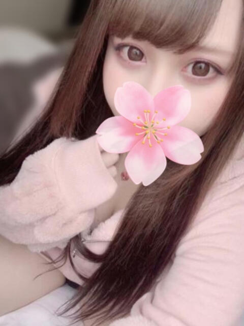 めと YDHやまぐちデリバリーヘルス（山口、新山口、防府、宇部）（デリヘル）