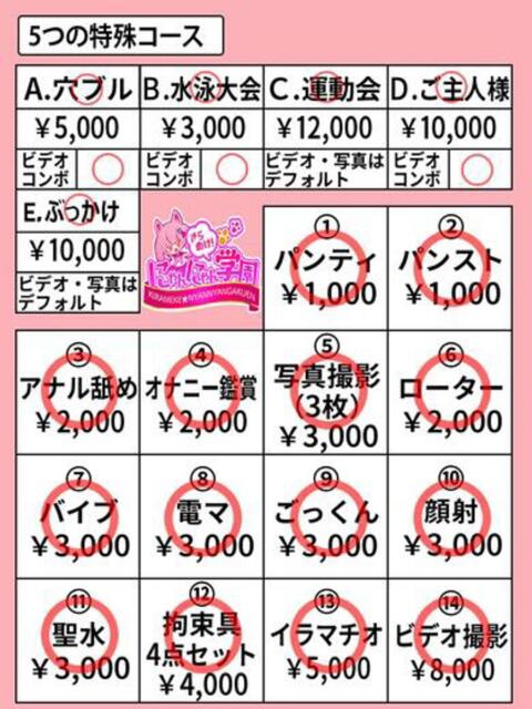 リゼ きらめけ！にゃんにゃん学園in川口（デリヘル）