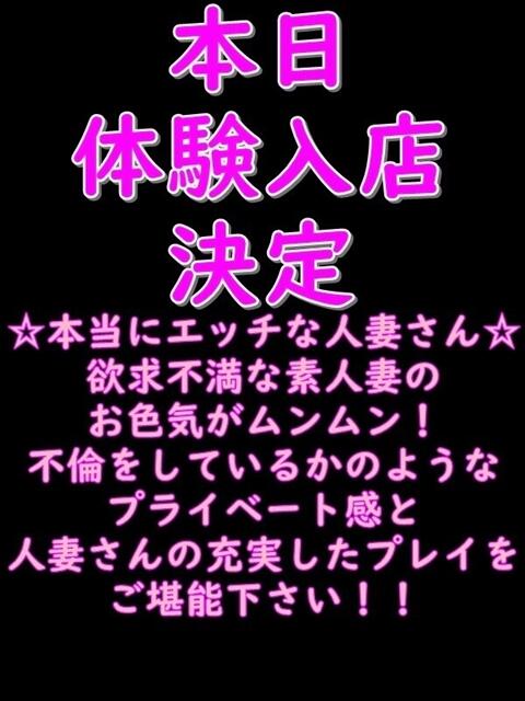 三郷 人妻ザ・ベスト店～日本人専門～（人妻系デリヘル）