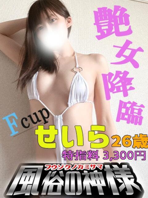 せいら 栃木♂風俗の神様宇都宮店（デリヘル）