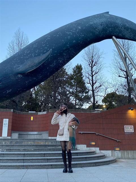 井口すみれ デリ活-マッチングデリヘル 風俗×出会い×デートクラブが融合したデリヘル！（デリヘル）