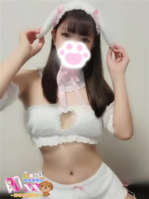 みとにゃん☆ 発情期限定!!即ズボ動物愛護団体（デリヘル）