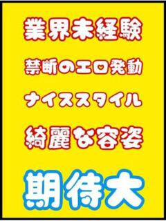 体験　あおい　若妻綺麗系redy パーフェクト・プロポーション（道後/デリヘル）