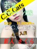 さくら C.C.CATS（渋谷/デリヘル）