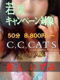 いずみ C.C.CATS（渋谷/デリヘル）