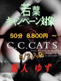 ゆず C.C.CATS（渋谷/デリヘル）