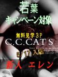 エレン C.C.CATS（渋谷/デリヘル）
