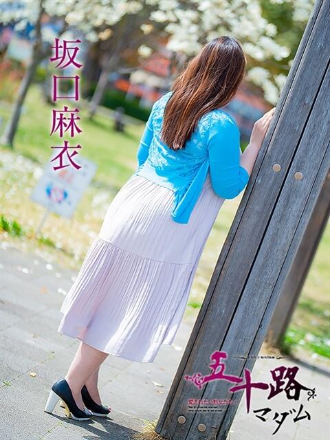 坂口麻衣 五十路マダム 浜松店(カサブランカグループ)（人妻系デリヘル）