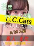 まな C.C.CATS（渋谷/デリヘル）