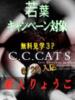 りょうこ C.C.CATS（/）