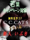 いぶき C.C.CATS（渋谷/デリヘル）