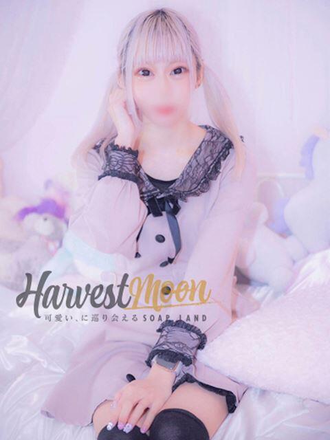 ねこ☆ツルツル令和女子 HARVEST MOON（ハーベストムーン）（ソープランド）