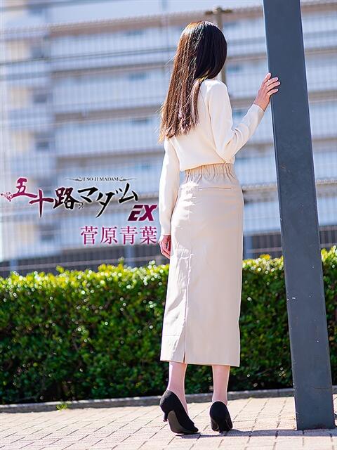 菅原青葉 五十路マダムエクスプレス船橋店(カサブランカグループ)（熟女デリヘル）