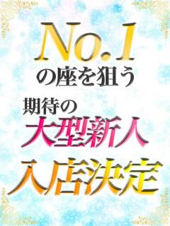 りり フェアリー【都城店】（西都城/デリヘル）