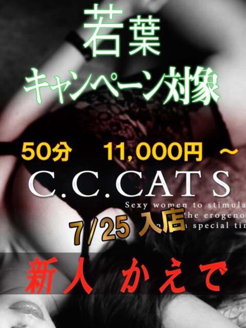 かえで C.C.CATS（受付型M性感＆派遣型M性感）