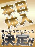 面接＆体験入店決定 葛西 人妻（葛西/デリヘル）