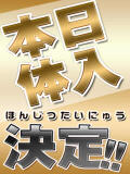 面接＆体験入店決定 柏 人妻（柏/デリヘル）