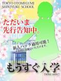 ひなた ときめき純情ロリ学園～東京乙女組 新宿校（新宿・歌舞伎町/デリヘル）