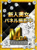 ♡レオ MEGA PALACE(メガパレス）（蕨/ソープ）