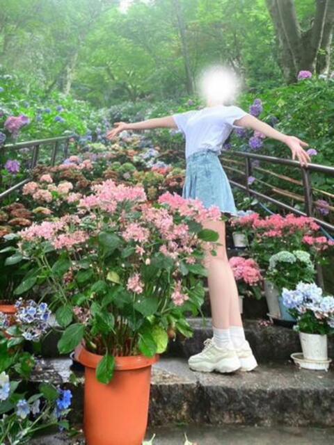 菅井とうか ブルーバード（デリヘル）