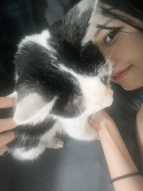 ゆりや Vivienne池袋西口店(キャバクラ)