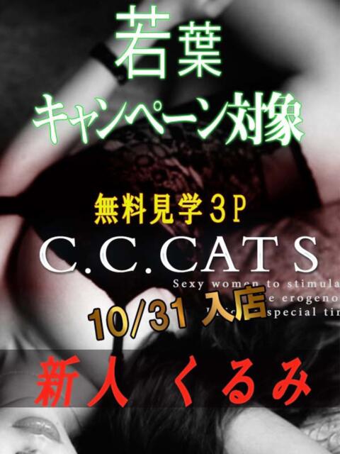 くるみ C.C.CATS（受付型M性感＆派遣型M性感）