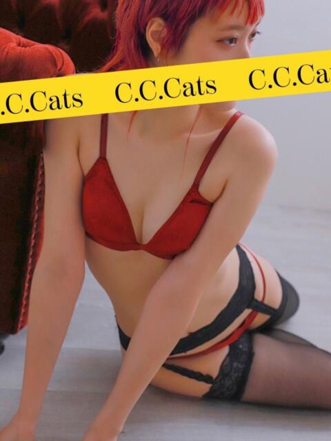 はる C.C.CATS（受付型M性感＆派遣型M性感）