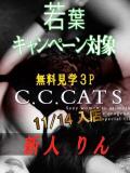 りん C.C.CATS（渋谷/デリヘル）