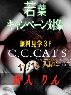 りん C.C.CATS（渋谷/デリヘル）