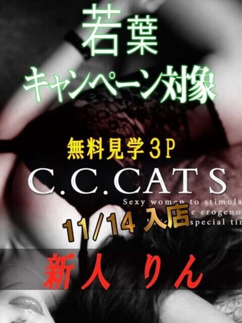 りん C.C.CATS（受付型M性感＆派遣型M性感）