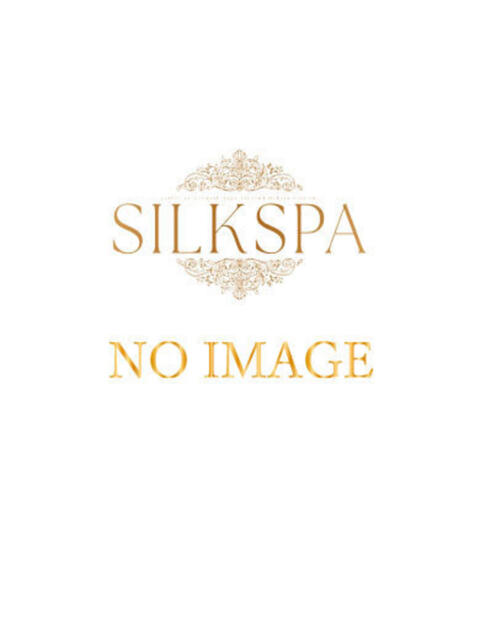 ひな SILK SPA福岡店（派遣型回春性感マッサージ）