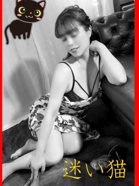 くーちゃん 三毛猫（熟女系デリヘル）