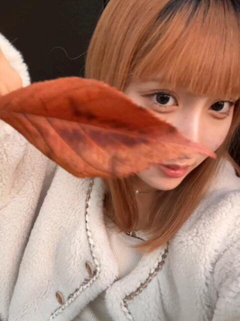 ふゆ mu-mii神田店(ムーミー神田店)(キャバクラ)