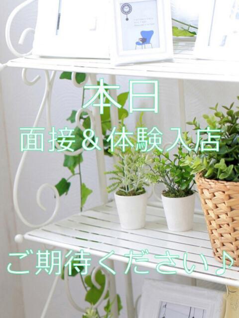 えみね 大人の遊園地 越谷店（デリヘル）