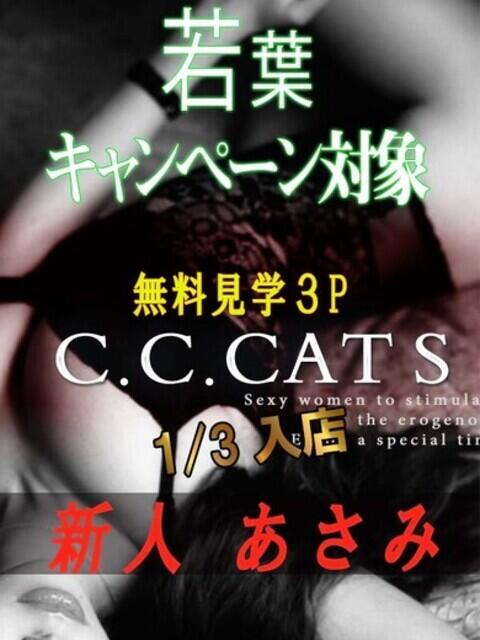 あさみ C.C.CATS（受付型M性感＆派遣型M性感）