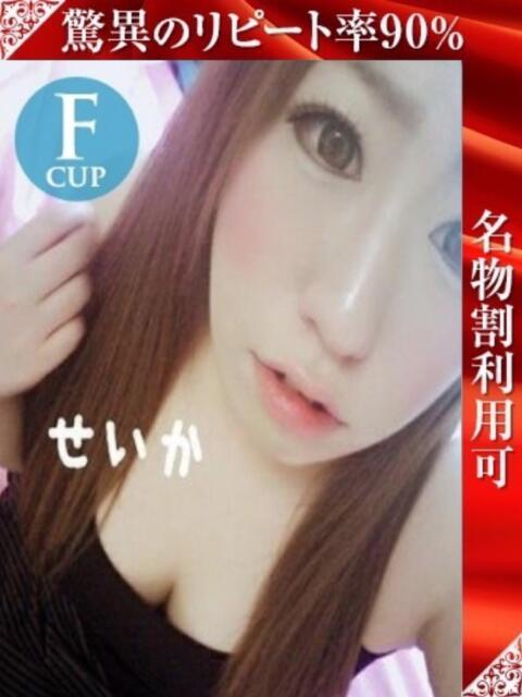 せいか 奥様特急新潟店(人妻デリヘル)