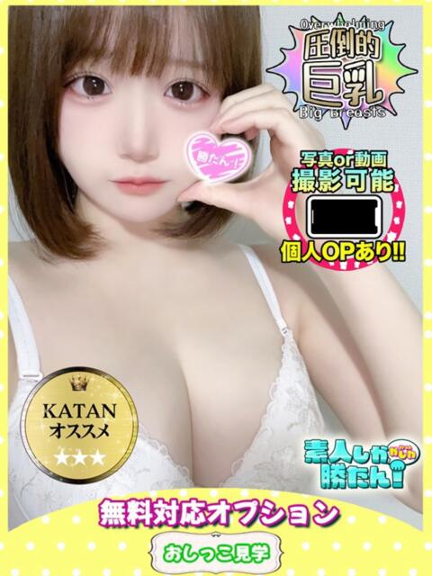 にいな 素人しか勝たん!柏店(超恋人型空間デリヘル)(デリヘル)