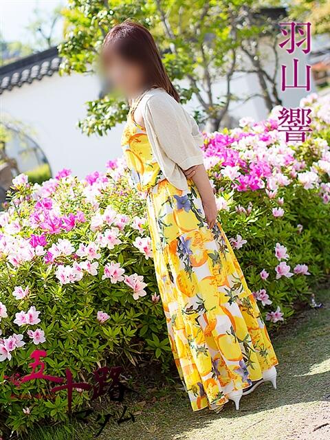 羽山響 五十路マダム金沢店（熟女デリヘル）