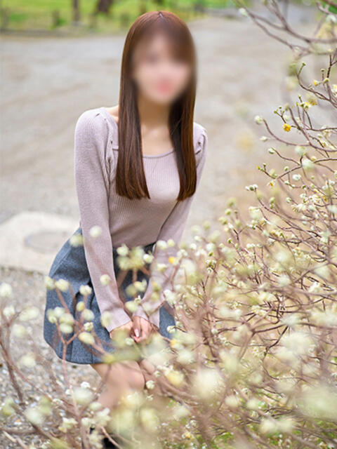 MII CLUB FOCUS 六本木（高級デリヘル）