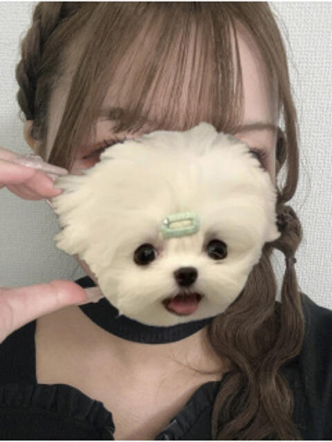 まお ∞ (はっち)(いちゃキャバ)