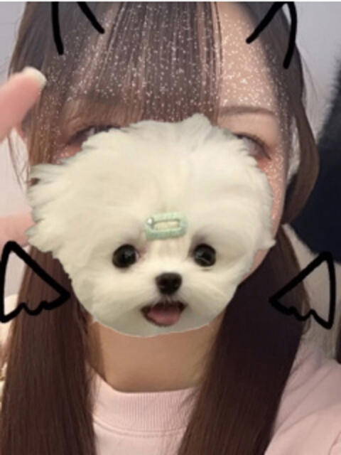 まお ∞ (はっち)(いちゃキャバ)