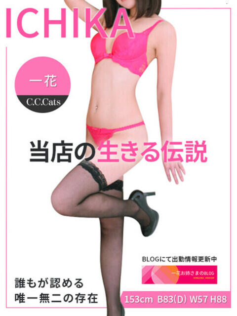 一花 C.C.CATS(受付型M性感&派遣型M性感)