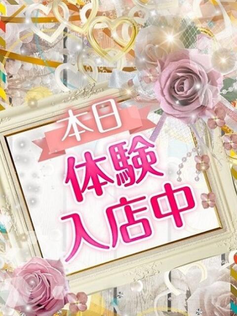 すみれ 脱がされたい人妻 さいたま大宮店（人妻デリヘル）